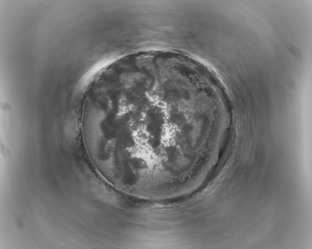 X0000091331359200708101418