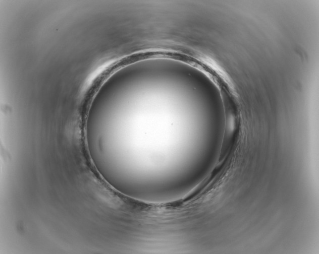 X0000091331360200708101418