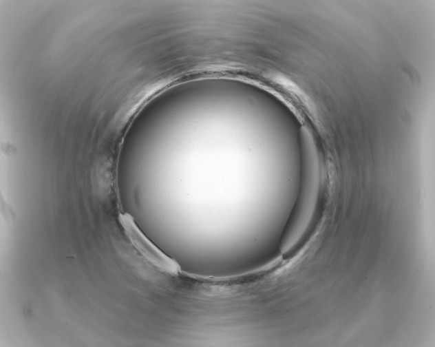 X0000091331361200708101418
