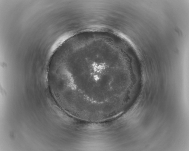 X0000091331362200708101418