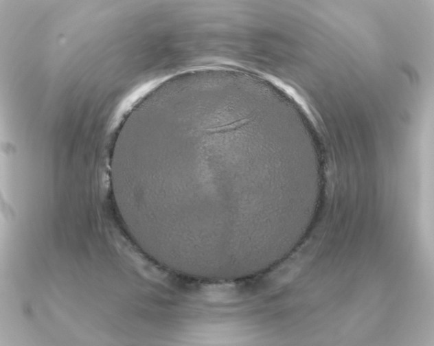 X0000091331363200708101418