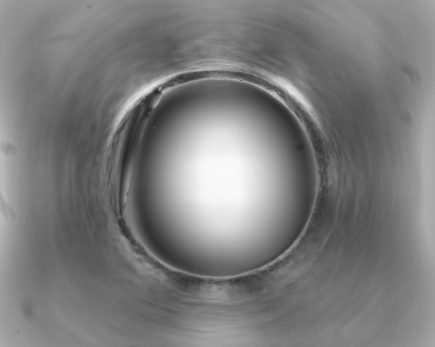 X0000091331364200708101418