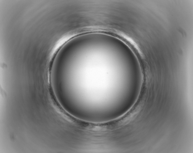 X0000091331365200708101418