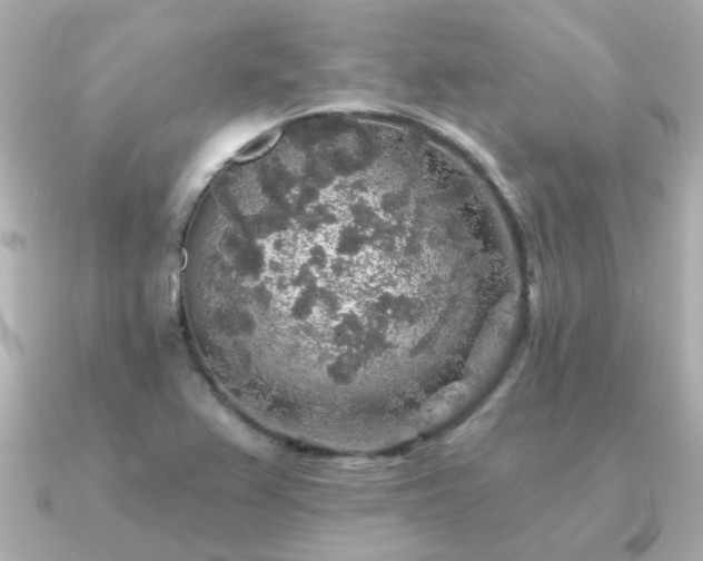 X0000091331367200708101418