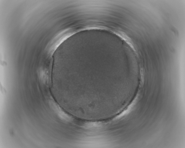 X0000091331369200708101418