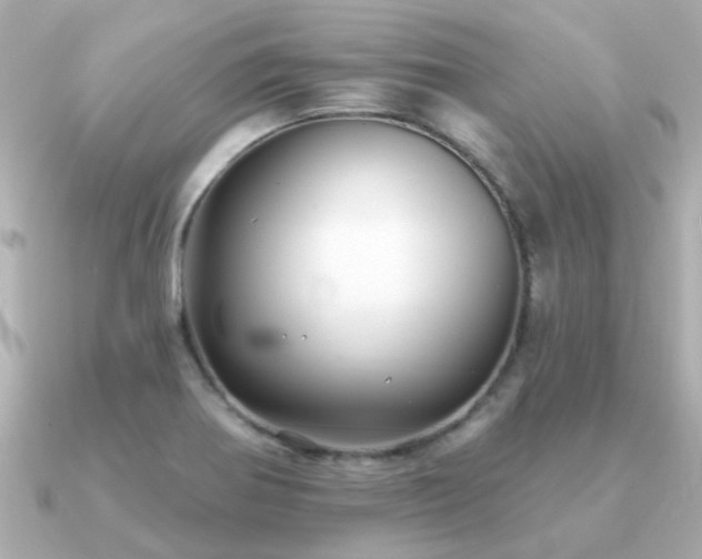 X0000091331370200708101418