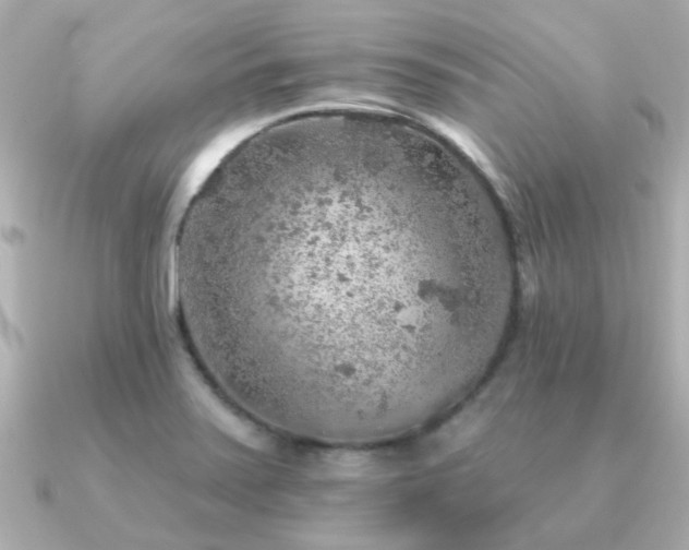 X0000091331371200708101418