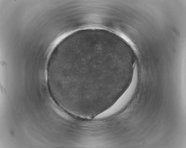 X0000091331372200708101418