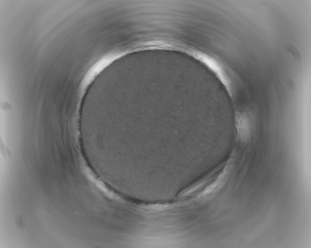 X0000091331373200708101418