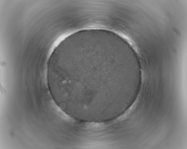 X0000091331374200708101418
