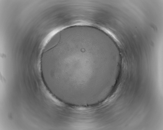 X0000091331375200708101418