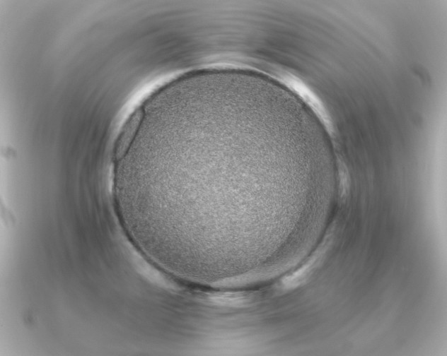 X0000091331376200708101418