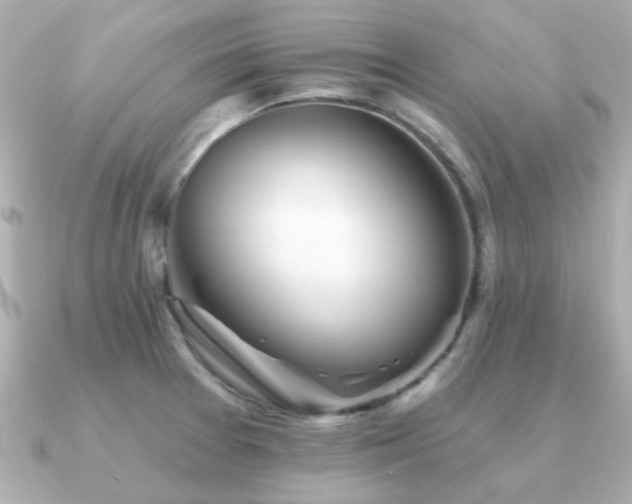 X0000091331377200708101418