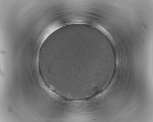 X0000091331378200708101418