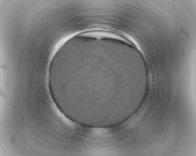 X0000091331379200708101418