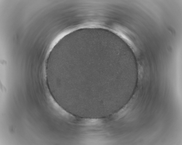 X0000091331382200708101418