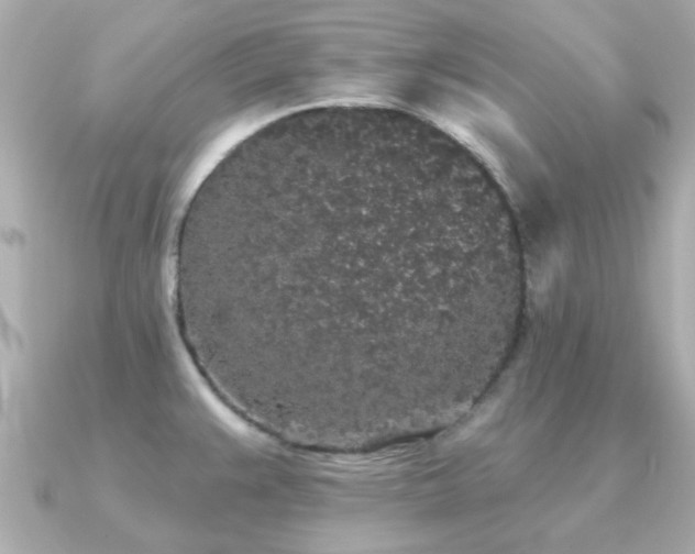 X0000091331383200708101418