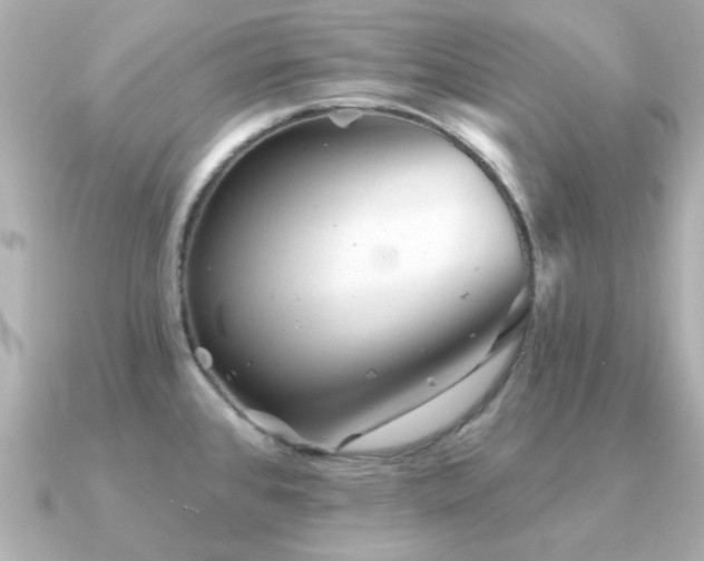 X0000091331384200708101418