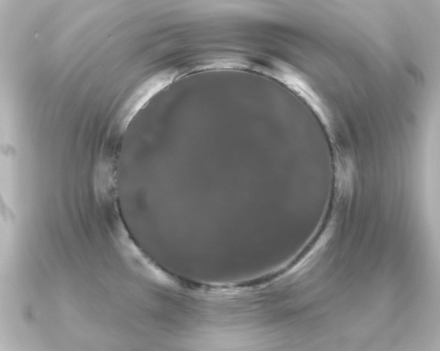 X0000091331385200708101418