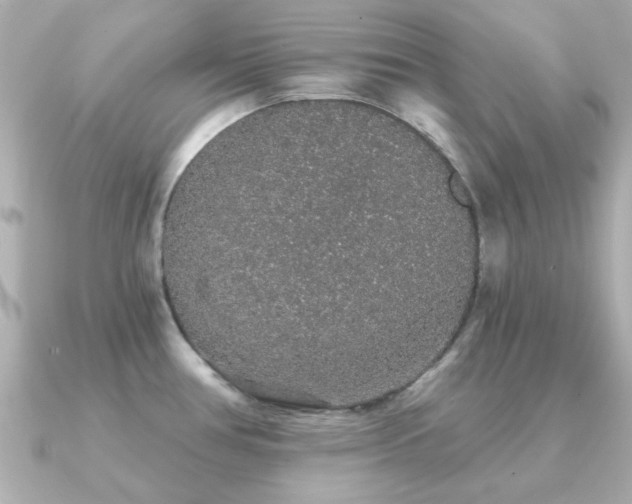 X0000091331386200708101418