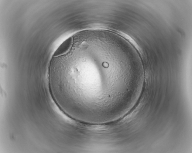 X0000091331387200708101418