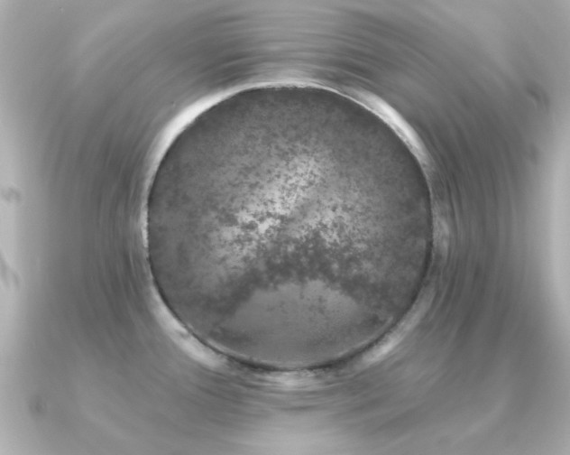 X0000091331388200708101418