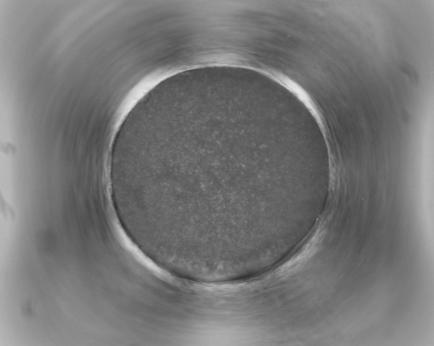 X0000091331389200708101418
