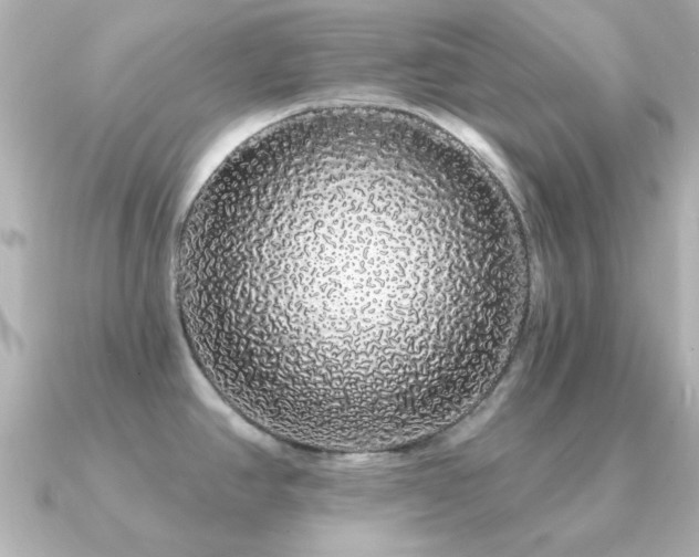 X0000091331390200708101418