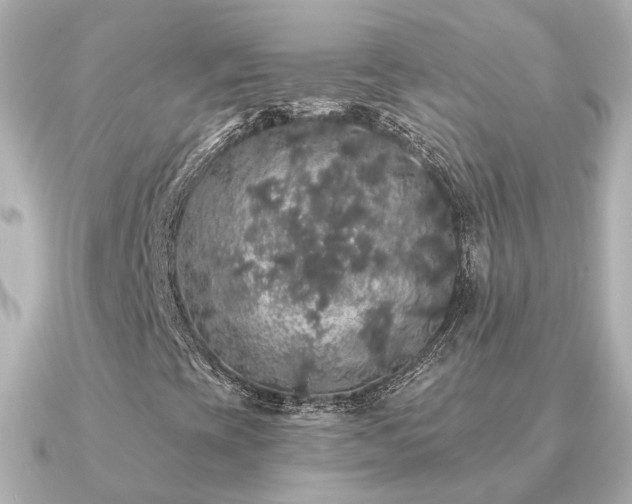 X0000091331393200708101417