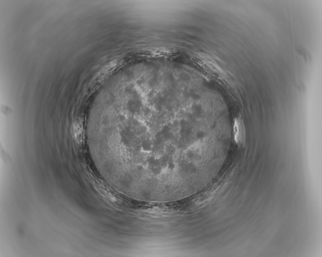 X0000091331395200708101417