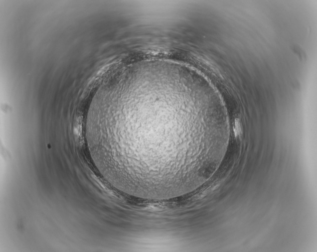 X0000091331396200708101417