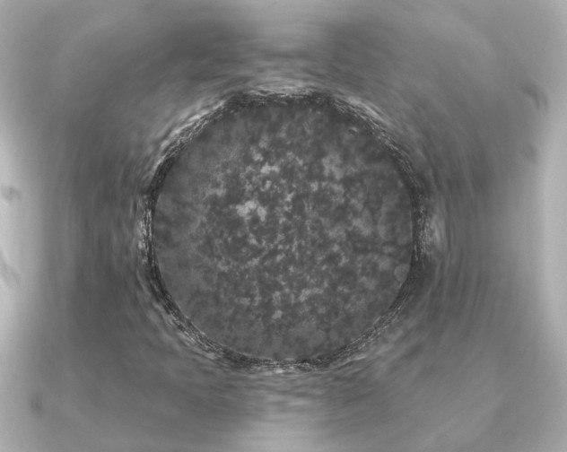 X0000091331397200708101417