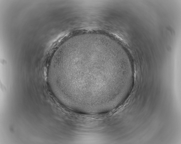 X0000091331398200708101417