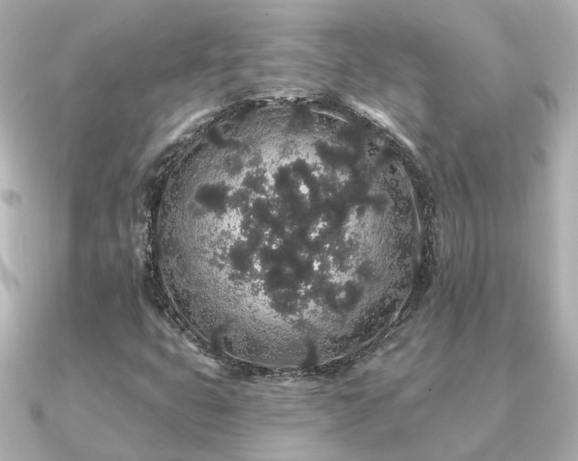 X0000091331399200708101417