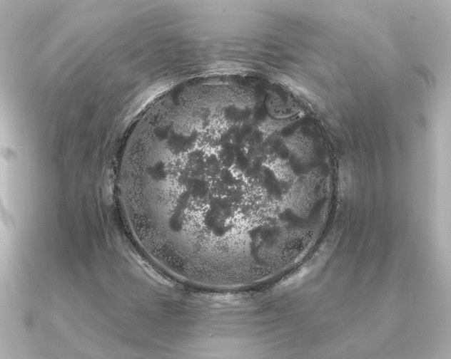 X0000091331401200708101417