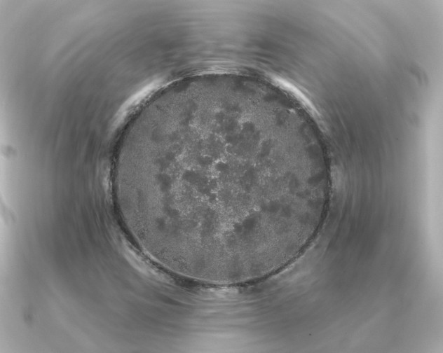 X0000091331403200708101417