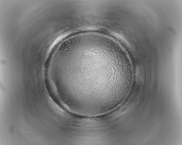 X0000091331404200708101417