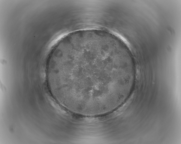 X0000091331407200708101417