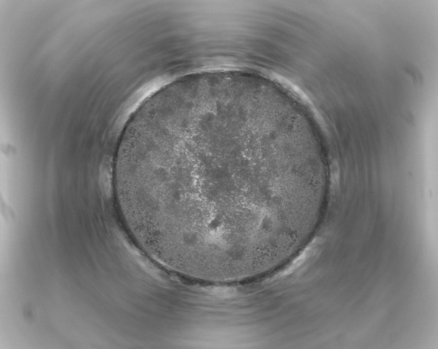 X0000091331409200708101417
