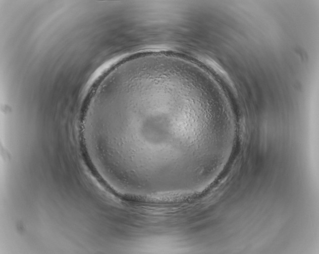 X0000091331412200708101418