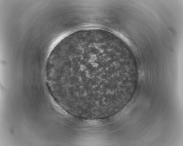 X0000091331413200708101418