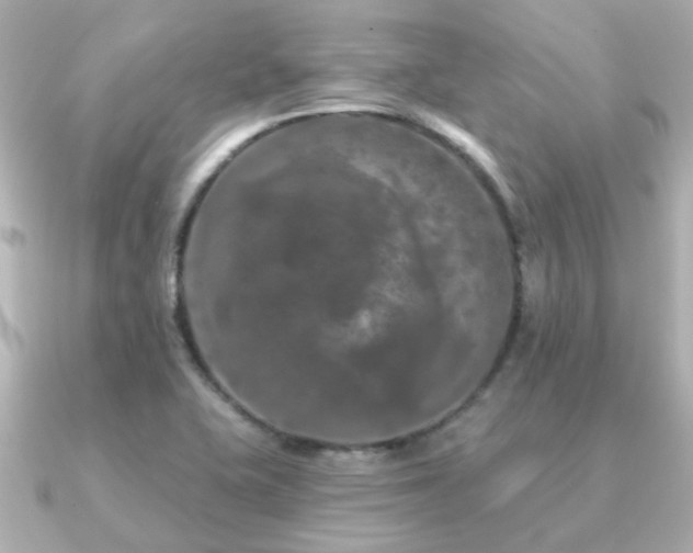 X0000091331415200708101418