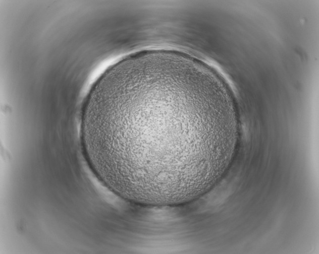 X0000091331416200708101418