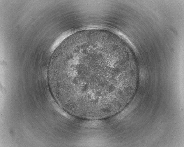 X0000091331417200708101418
