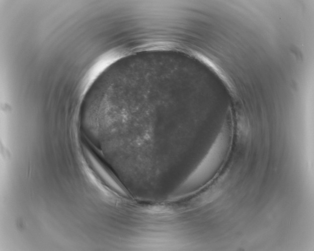 X0000091331418200708101418