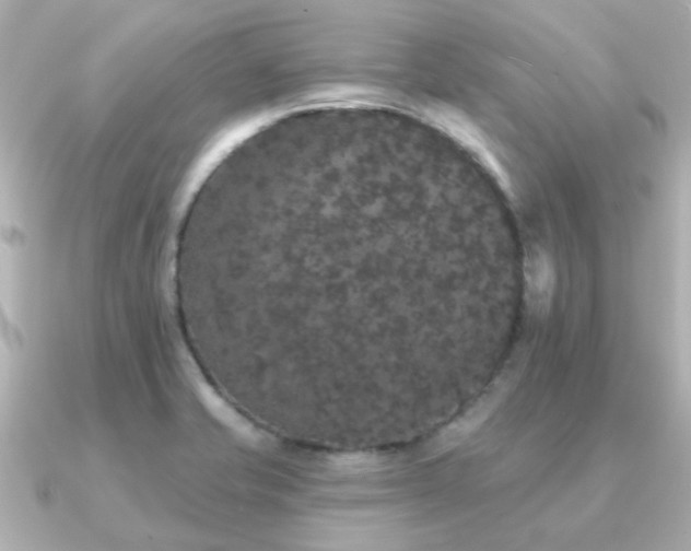 X0000091331421200708101418