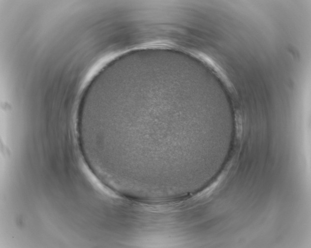 X0000091331422200708101418