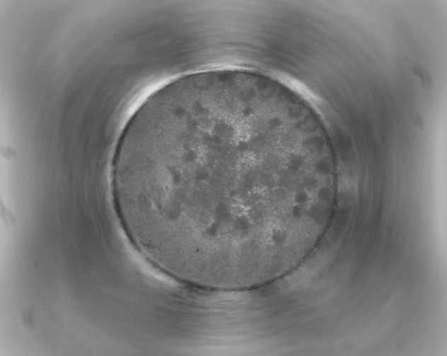 X0000091331423200708101418
