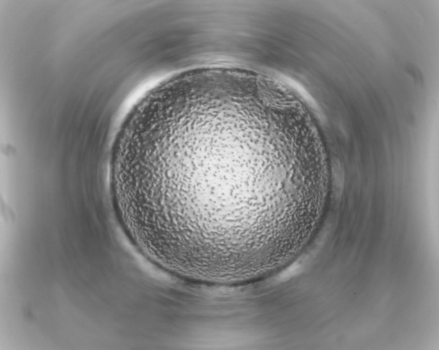 X0000091331424200708101418