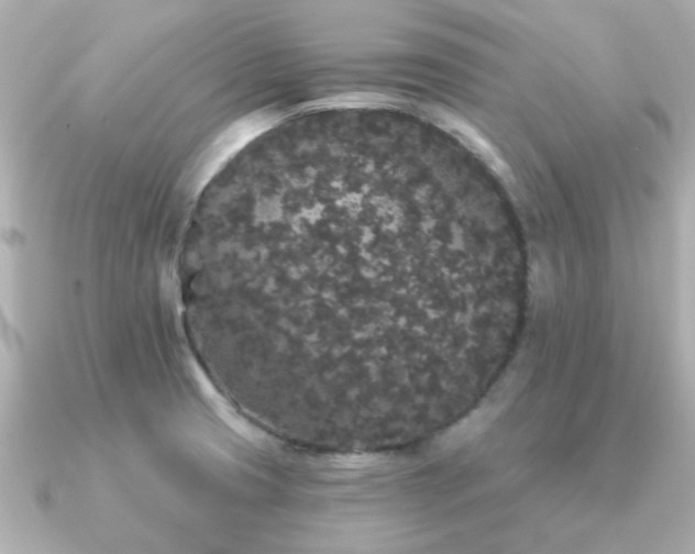 X0000091331425200708101418